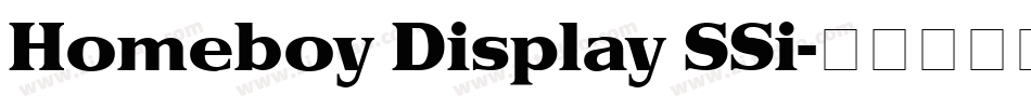 Homeboy Display SSi字体转换